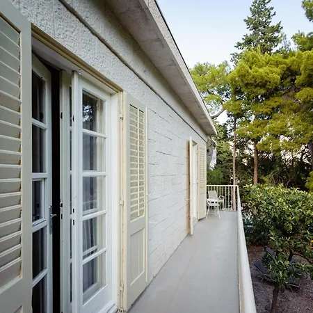 Linda فيلة سبليت